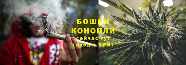 шишки Щигры