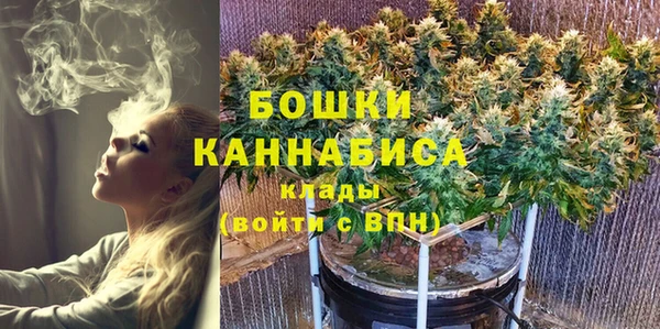 ГАЛЛЮЦИНОГЕННЫЕ ГРИБЫ Шарыпово