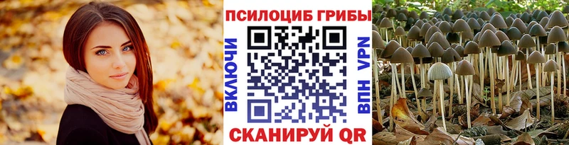 Псилоцибиновые грибы прущие грибы наркошоп Вологда