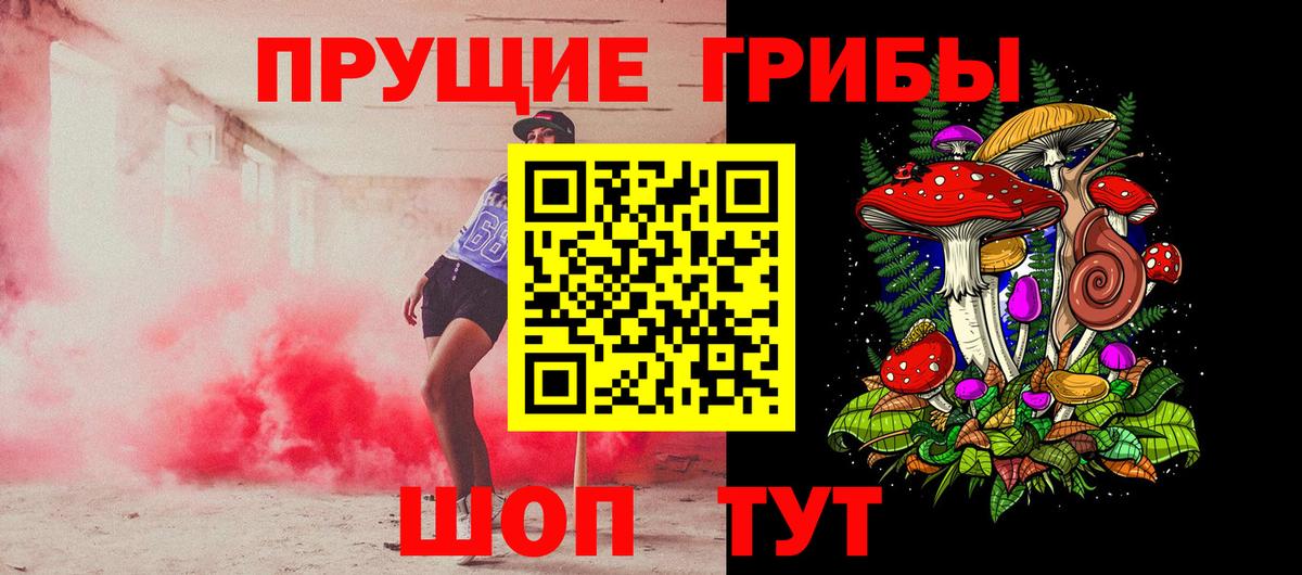 Вологда  Псилоцибиновые грибы GOLDEN TEACHER  Вход с VPN 